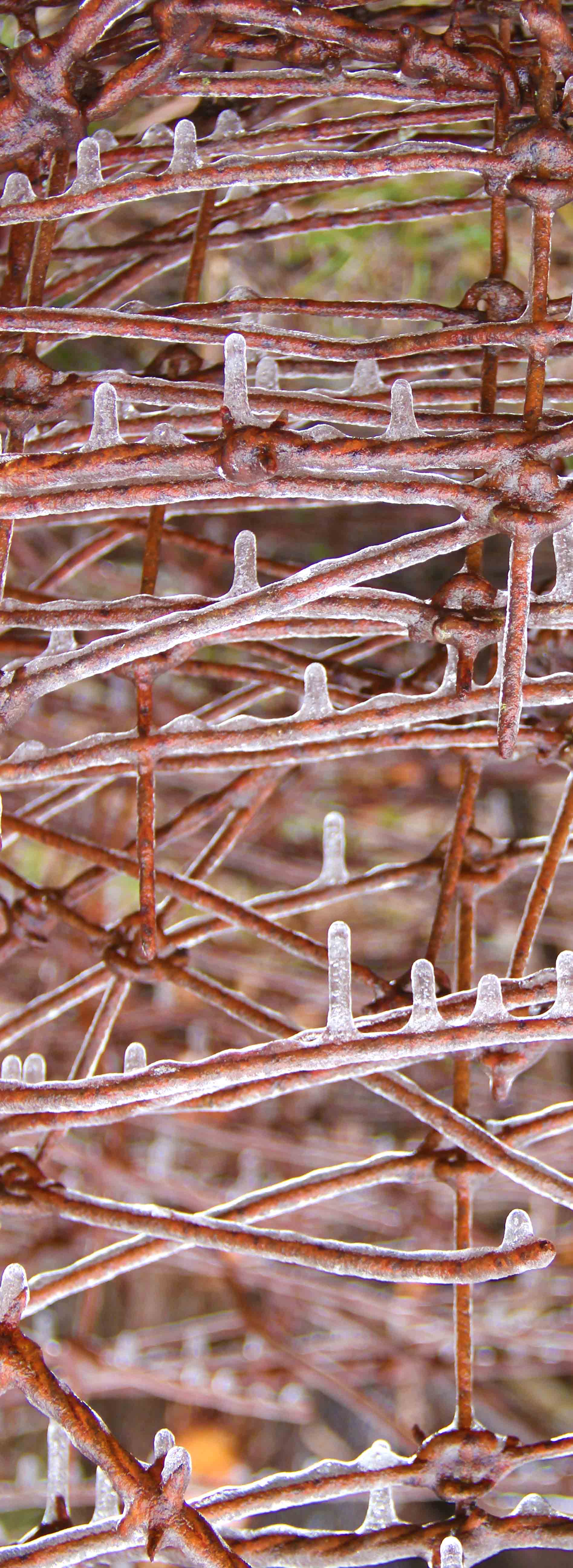 Austin Museum Downtown