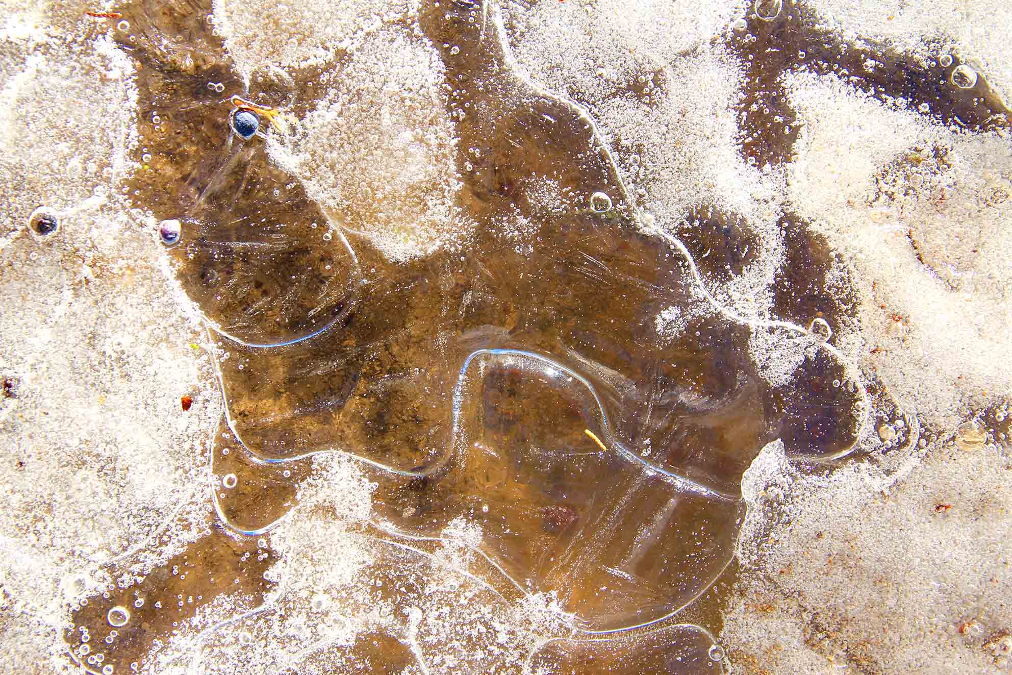 Austin Museum Downtown