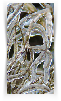 Dallas Museum Downtown Art Exhibition 2021