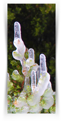 Museum Downtown Free Art Exhibition 2021