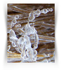 The Museum of Art Downtown Dallas