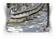 Austin Fine Art Museum Downtown UT