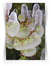 The Fine Art Museum of Art Downtown