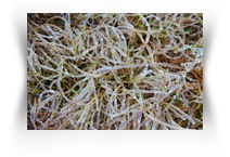 The Multidimensional Museum Downtown