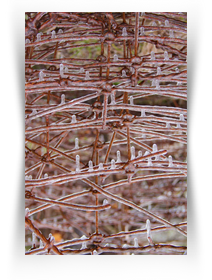 Austin Museum Downtown