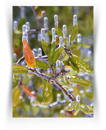 The Museum of Photography Downtown