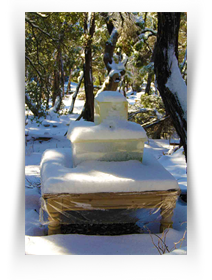 Downtown Museum in Houston Exhibitions