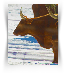Texas Art Museum Downtown