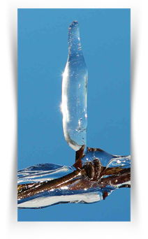 Artist Market Photography Show