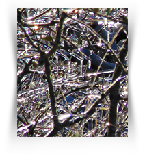 Art Museum of Photography in Downtown Texas