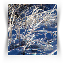 Houston Museum Downtown