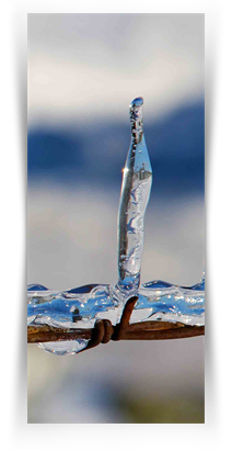 The Art Exhbitions in Texas Museums 2021