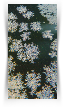 Art Events in Museums of Texas