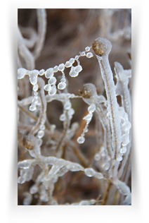 Dallas Museum Downtown Exhibition