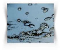 San Antonio Art Museum Downtown