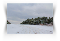 Dallas Art Museum Downtown
