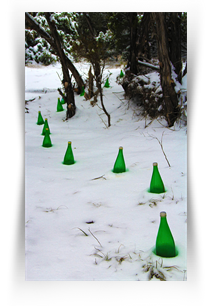 The Art Museums Downtown Texas