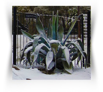 University of Texas Art Museum Exhibition Downtown Museum.