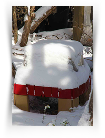 Austin Texas Art Museum Downtown